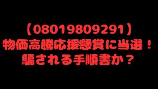 【08019809291】物価高騰応援懸賞に当選！騙される手順書か？ 