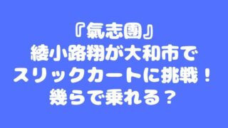 『氣志團』綾小路翔が大和市でスリックカートに挑戦！幾らで乗れる？ 